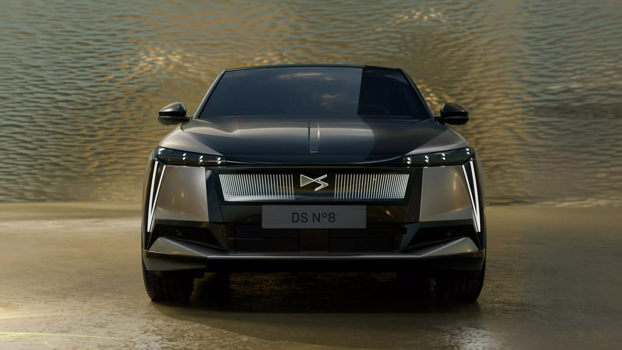 DS No.8 Fully Electric Luxury Limousine (2)