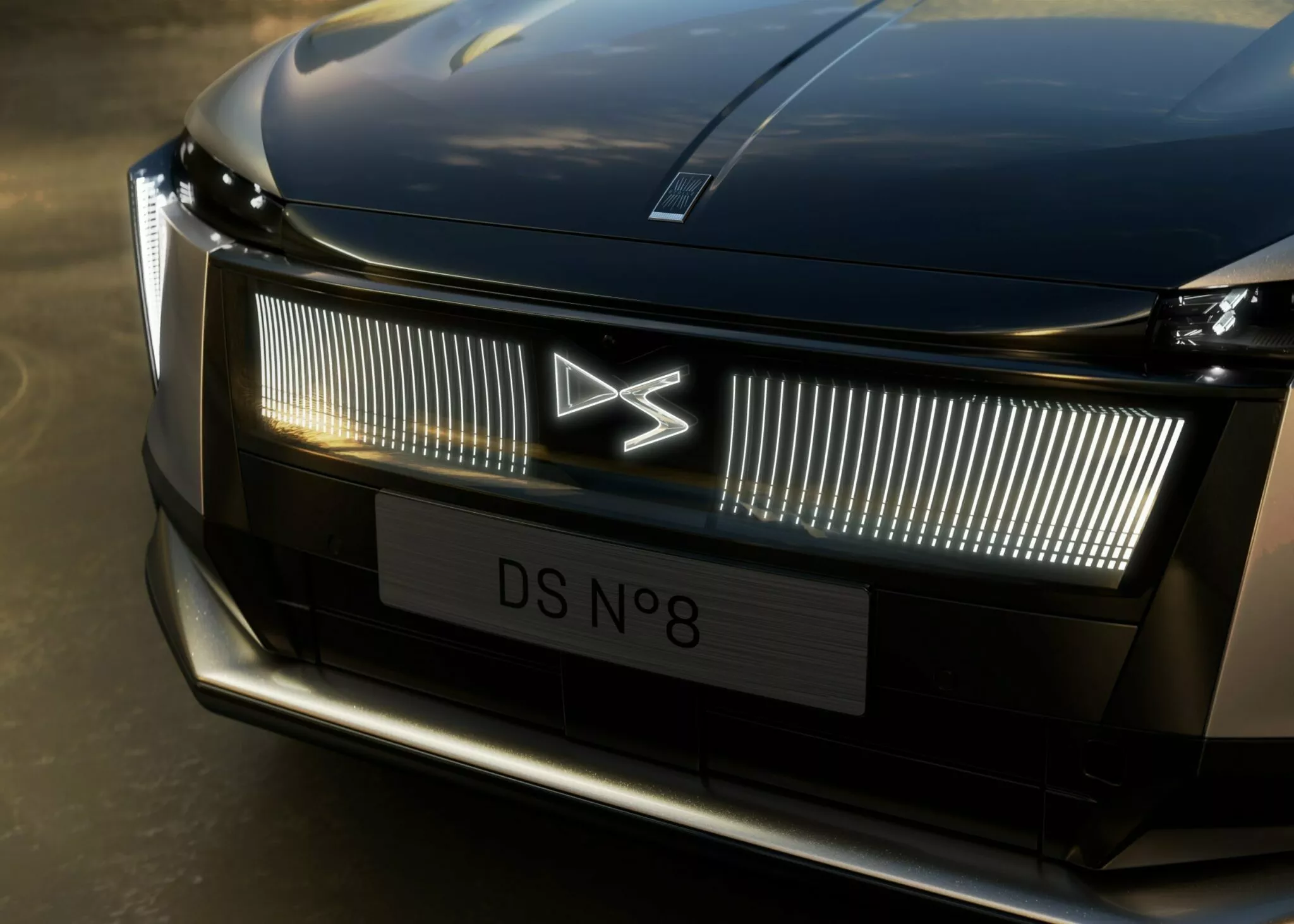 DS No.8 Fully Electric Luxury Limousine (5)